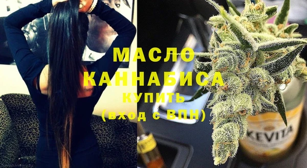 скорость Каменка