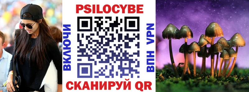 купить наркотик  Нефтекамск  Псилоцибиновые грибы мицелий 